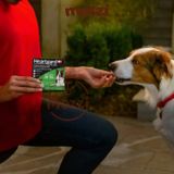  Viên nhai tẩy giun Heartgard cho chó 