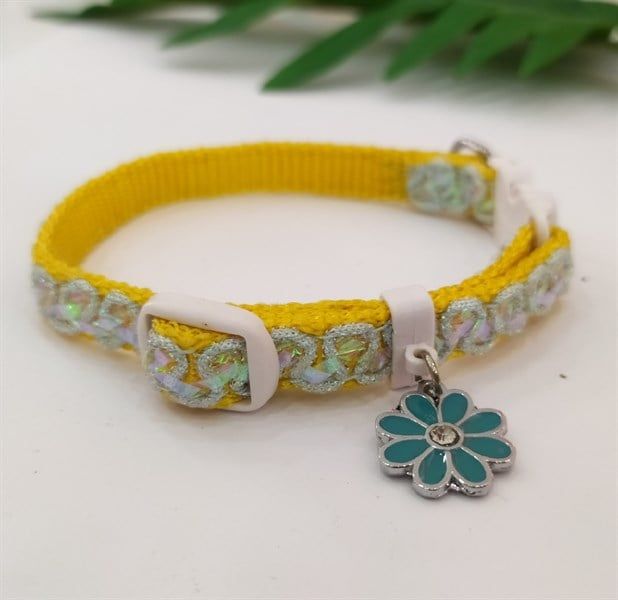 DoggyMan Vòng Cổ Lovely Băng Đô Trắng Cam 2-5kg