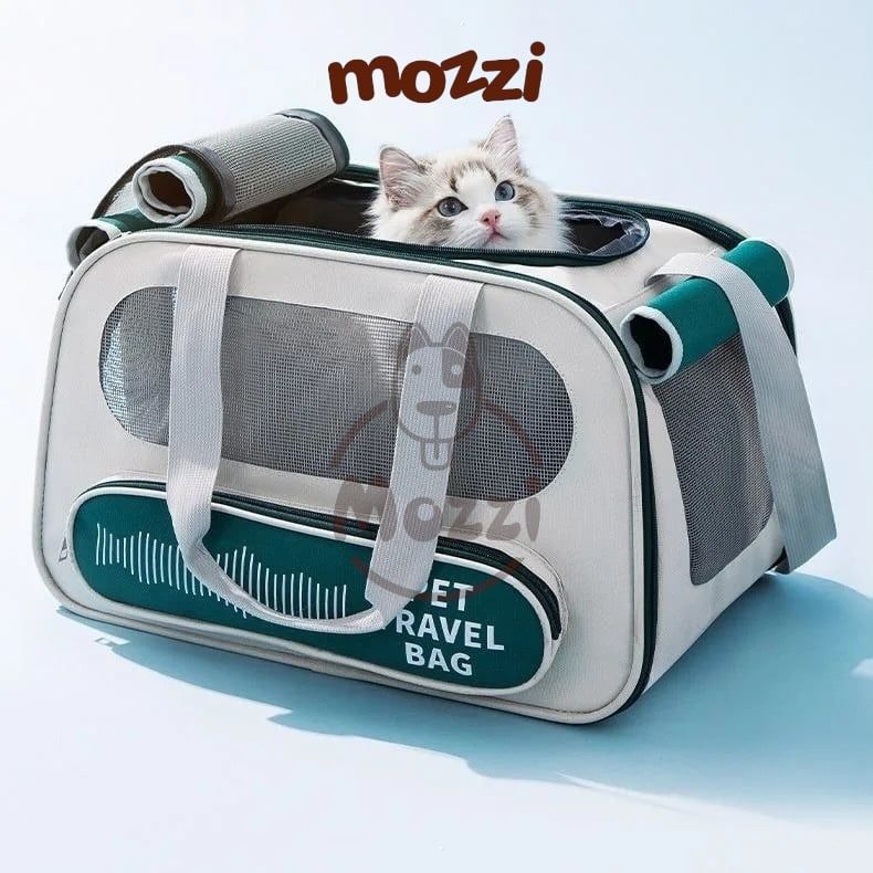 Balo Túi đựng chó mèo Pet Travel