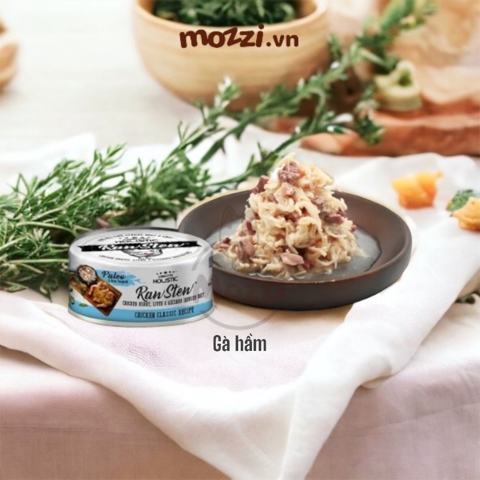 Pate cho chó mèo RawStew Absolute Holistic Lon 80gr