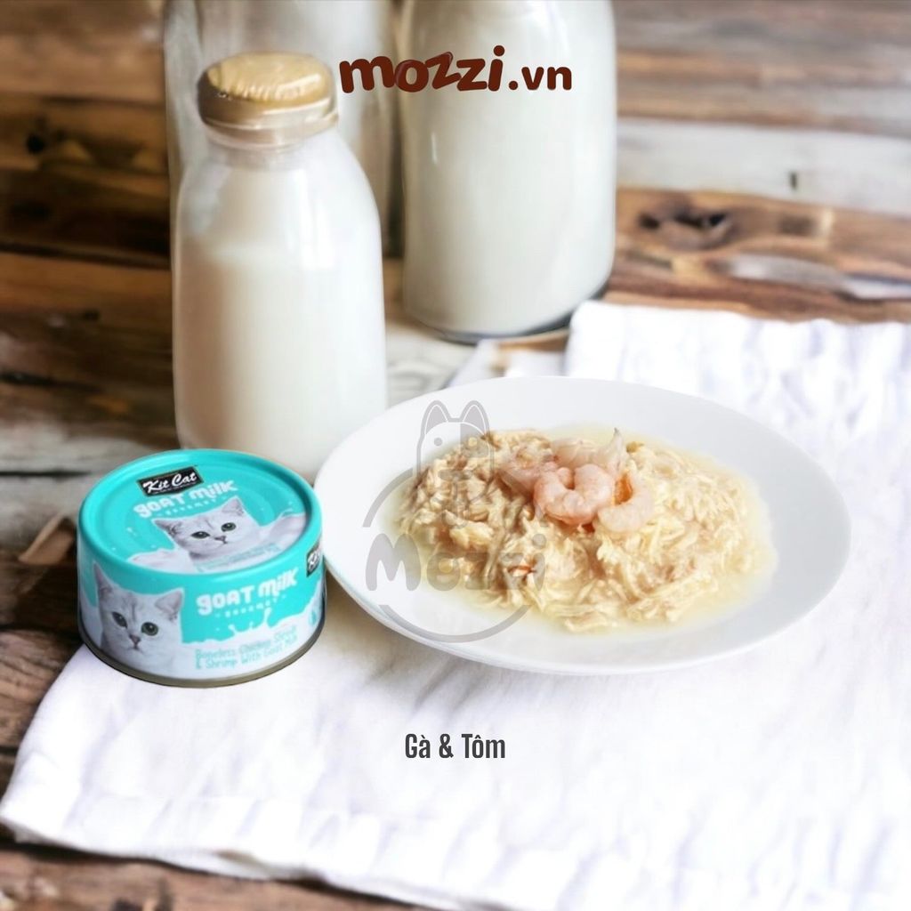Pate cho mèo Pate sữa dê KitCat Lon 70gr