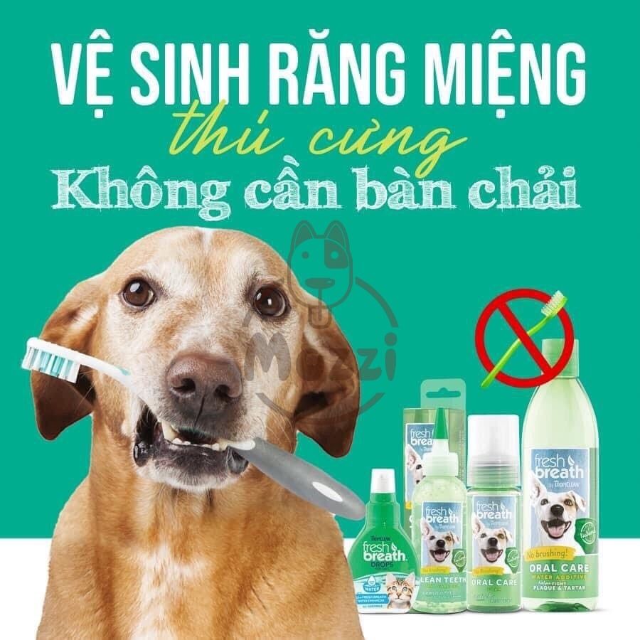 Xịt vệ sinh răng miệng Tropiclean Fresh Breath Spray Chai 118ml cho chó