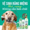 Xịt vệ sinh răng miệng Tropiclean Fresh Breath Spray Chai 118ml cho chó