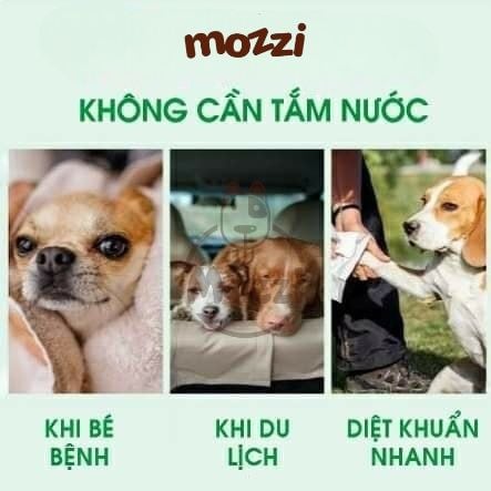  Tắm khô Tropiclean Hương tươi mát dạng bọt cho chó mèo Chai 220ml 