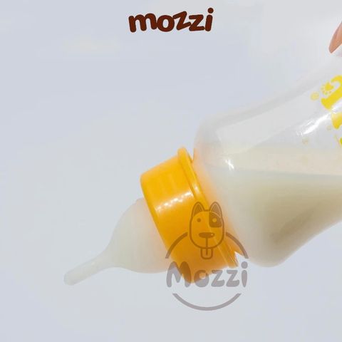  Bình sữa bú DIIL cho chó mèo [Giao màu ngẫu nhiên] 