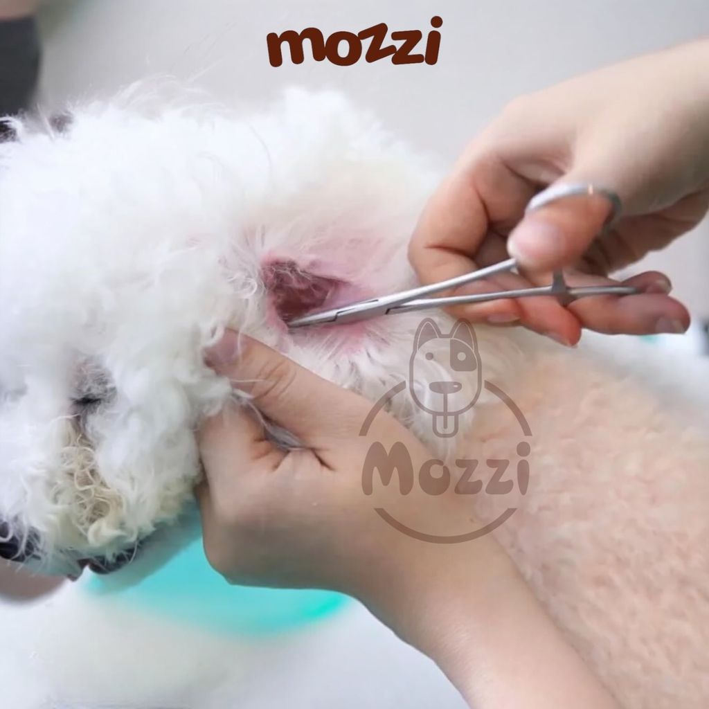 Kẹp vệ sinh tai và nhổ lông tai Doggyman cho chó mèo