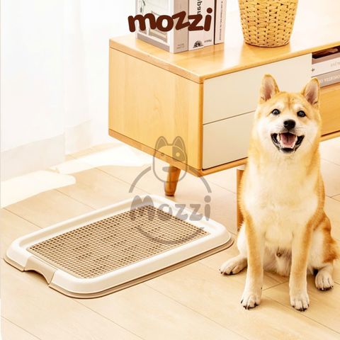  Khay vệ sinh cho chó Iris Nhật Bản nhiều màu 