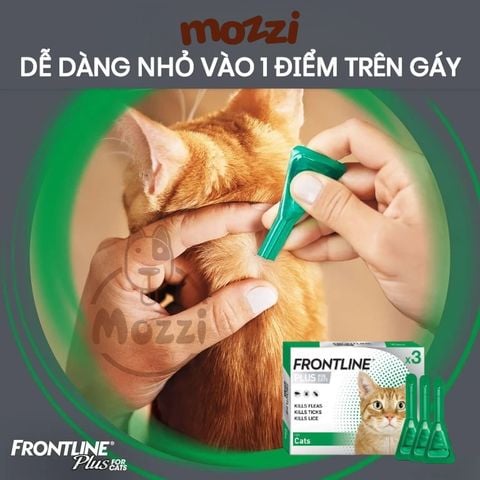  Nhỏ gáy ve rận bọ chét Frontline Plus cho mèo 