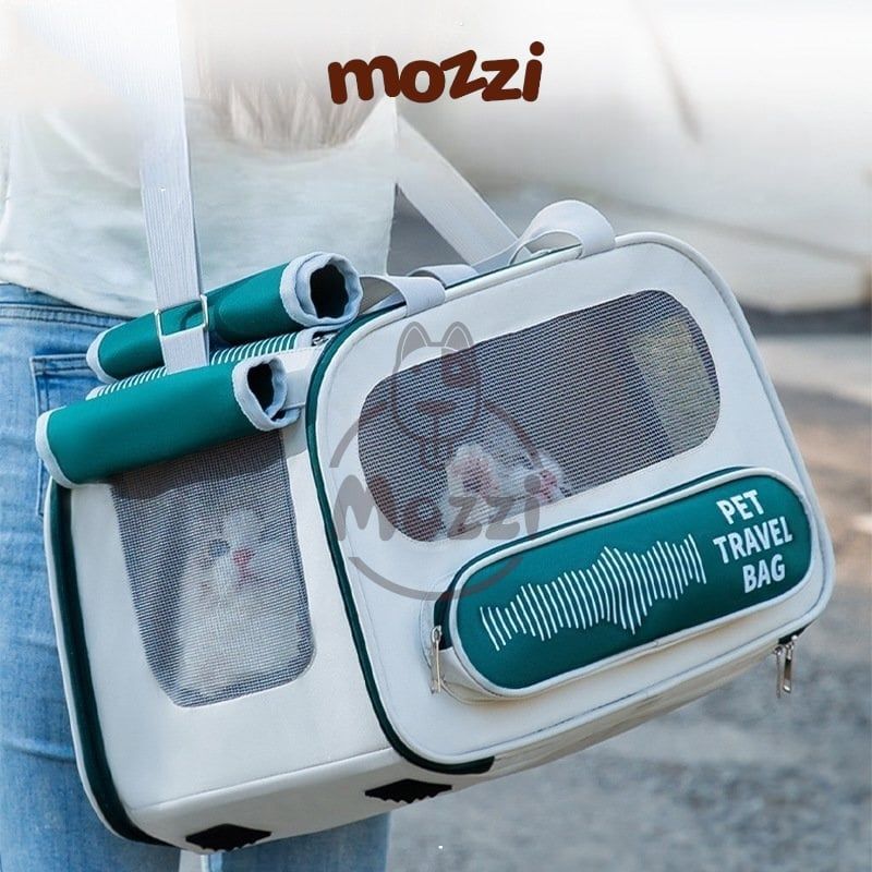Balo Túi đựng chó mèo Pet Travel