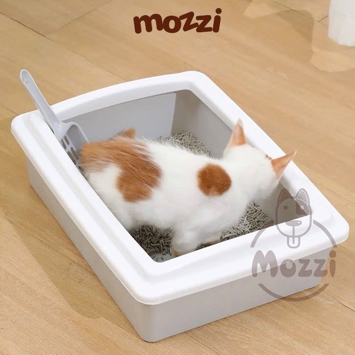 Khay cát vệ sinh cho mèo hình chữ nhật 39x29cm