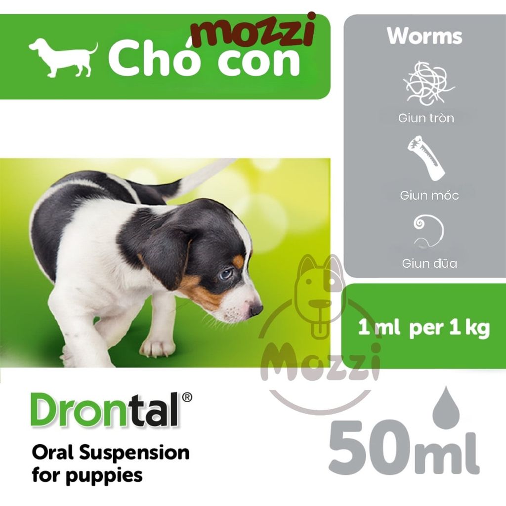Tẩy giun dạng nước Drontal Puppy Elanco Chai 50ml cho chó con kèm xilanh