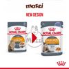 Pate cho mèo Đẹp da lông Hairball Hair&Skin Skin Coat Royal Canin