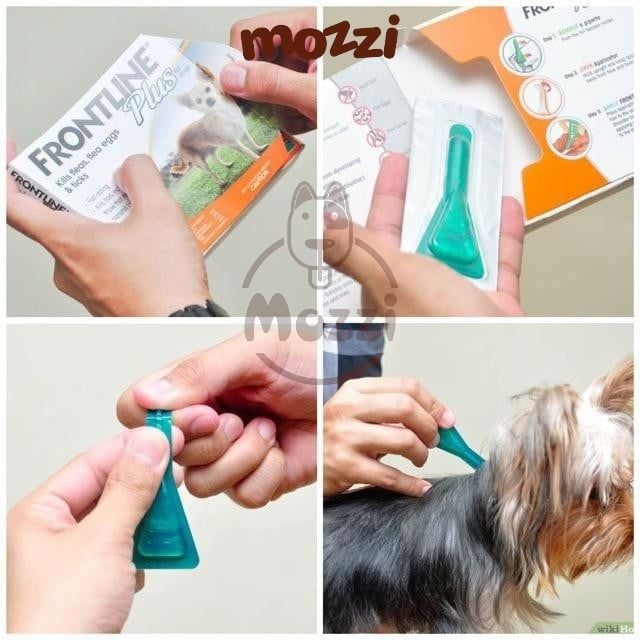 Nhỏ gáy trị ve rận bọ chét Frontline Plus cho chó