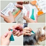  Nhỏ gáy trị ve rận bọ chét Frontline Plus cho chó 