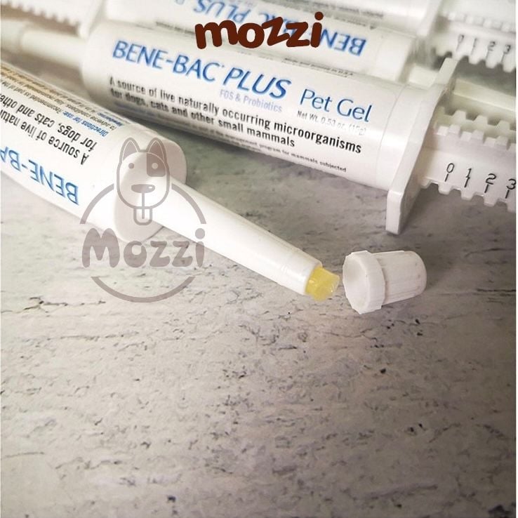 Men tiêu hóa đường ruột đặc hiệu Bene Bac Plus Gel PetAg cho chó mèo