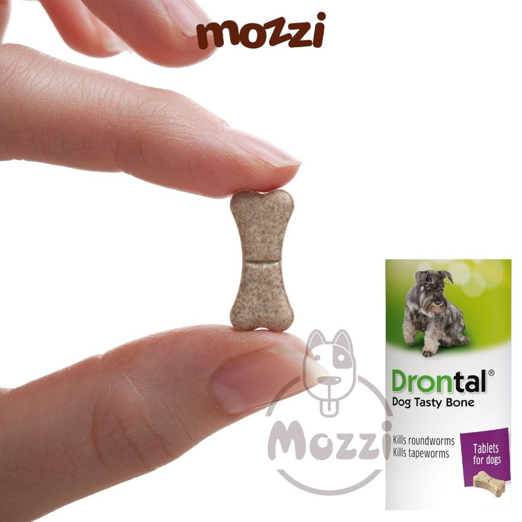 Viên nhai tẩy giun Drontal Tasty Bone Elanco cho chó