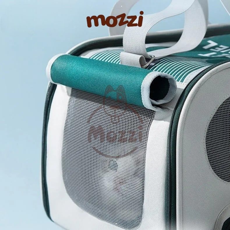 Balo Túi đựng chó mèo Pet Travel