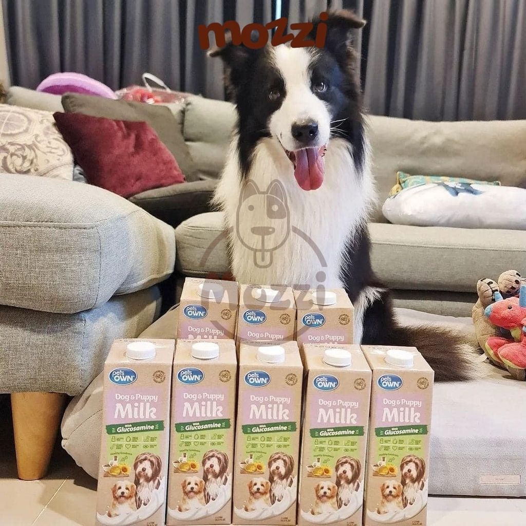 Sữa tươi Úc Pets OWN Hộp 1L với Glucosamine cho chó mèo