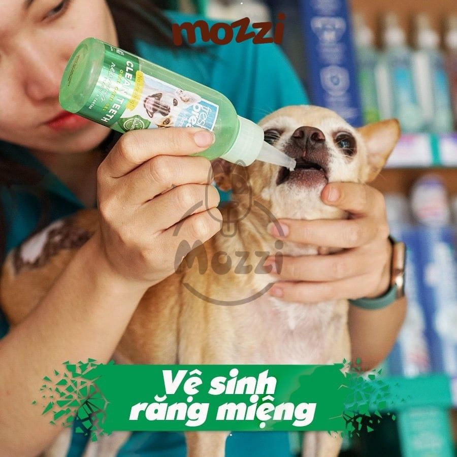 Gel nhỏ sạch răng miệng Tropiclean Fresh Breath Chai 59ml cho chó mèo