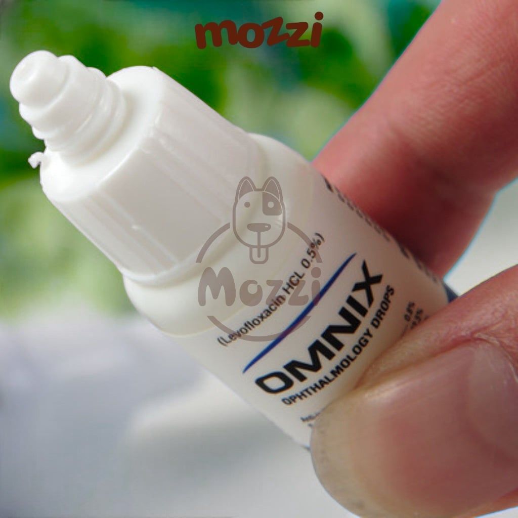 Alkin Omnix Thuốc nhỏ mắt 10ml cho chó mèo