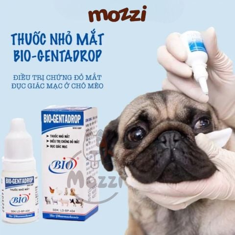  Nhỏ mắt Bio - Gentadrop cho chó mèo Chai 10ml 