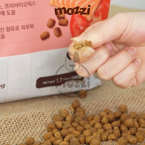  Thức ăn hạt mềm ANF SOFT cho chó [300g - 1.2kg] 