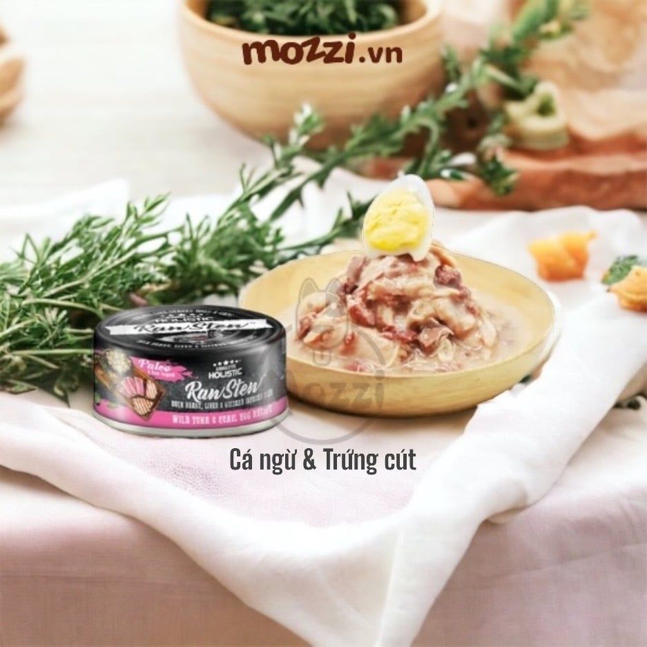 Pate cho chó mèo RawStew Absolute Holistic Lon 80gr