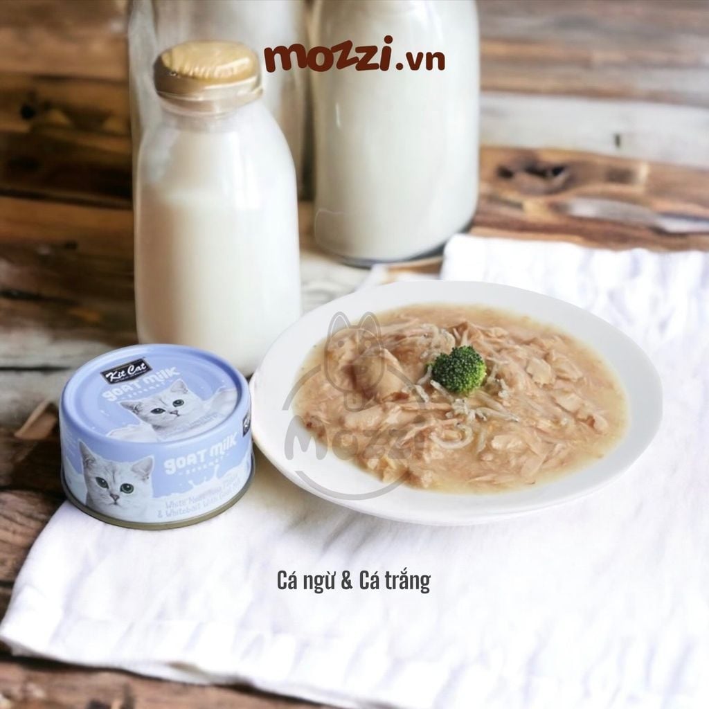 Pate cho mèo Pate sữa dê KitCat Lon 70gr