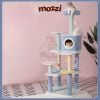 Cat Tree - Trụ mèo cào 3 tầng Hoopet