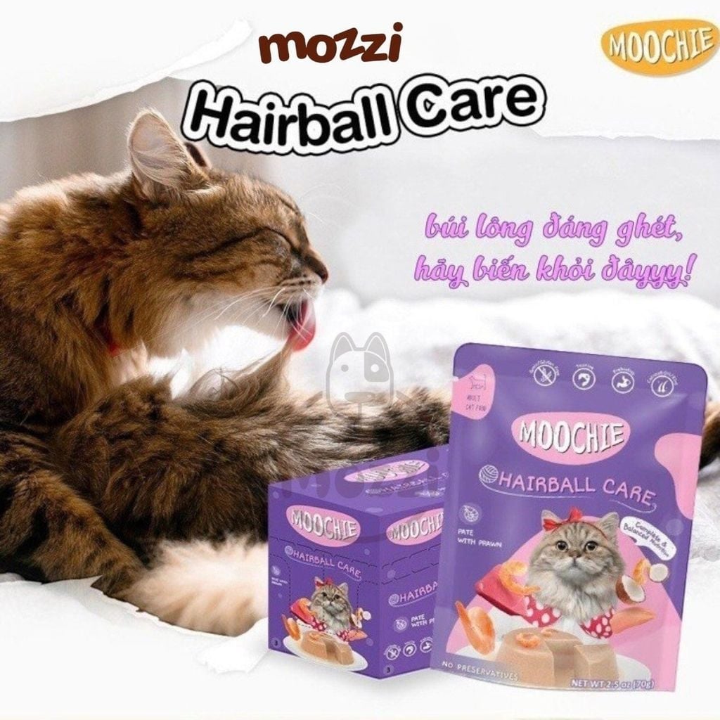 Pate cho mèo Moochie Gói 70gr