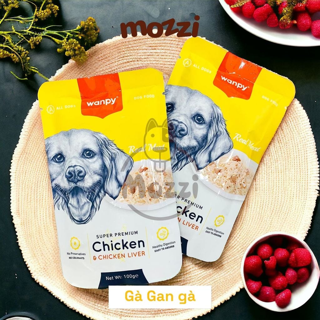 Pate cho chó Wanpy gói 100gr