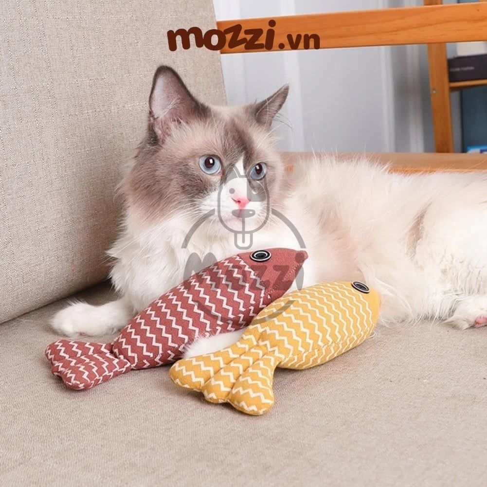 Cá bông lượn sóng catnip