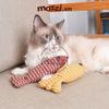 Cá bông lượn sóng catnip