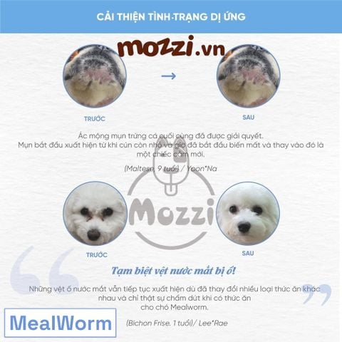  Thức ăn hạt hữu cơ Natural Core Sensitive Care cho chó viêm da, chảy nước mắt [800g - 3kg] 