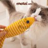 Cá bông lượn sóng catnip