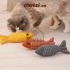 Cá bông lượn sóng catnip