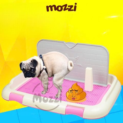  Khay vệ sinh cho chó Hipi có sẵn trụ, tường lẻ 