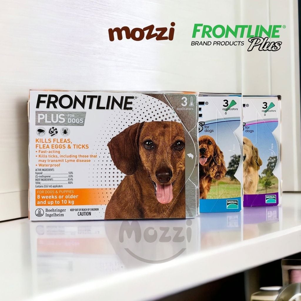 Nhỏ gáy trị ve rận bọ chét Frontline Plus cho chó