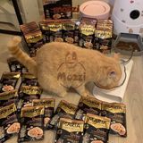  Pate cho mèo Maria Gói 70gr 