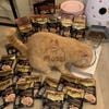 Pate cho mèo Maria Gói 70gr
