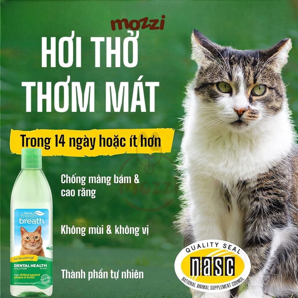 Nước vệ sinh răng miệng Tropiclean Fresh Breath pha uống Chai 473ml cho chó mèo
