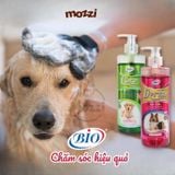  Sữa tắm Bio Derma Care Chăm sóc da ve rận bọ chét ghẻ nấm Chai 450ml 