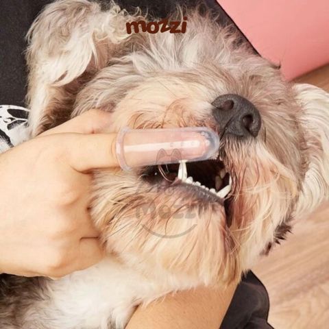  Bàn chải đánh răng Budle’Budle đeo ngón tay cho chó mèo 
