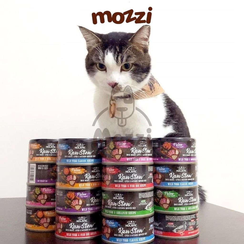 Pate cho chó mèo RawStew Absolute Holistic Lon 80gr