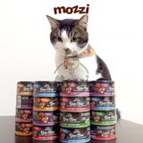  Pate cho chó mèo RawStew Absolute Holistic Lon 80gr 