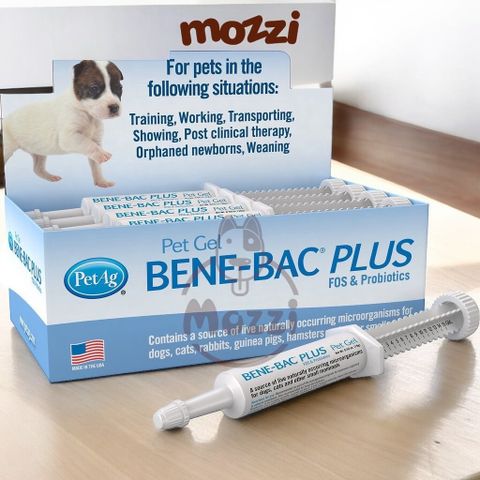  Men tiêu hóa đường ruột đặc hiệu Bene Bac Plus Gel PetAg cho chó mèo 