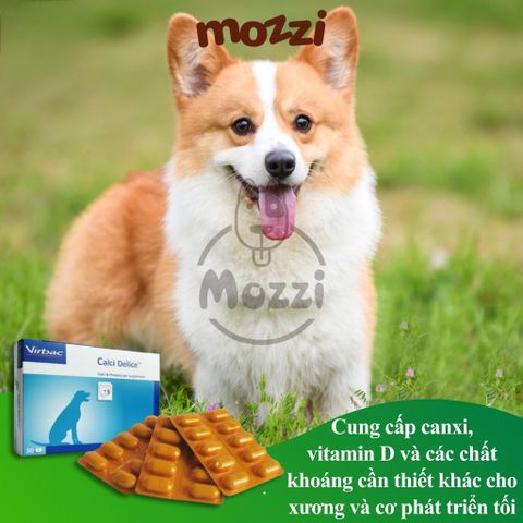  Viên bổ sung canxi Calci Delice Virbac cho chó 