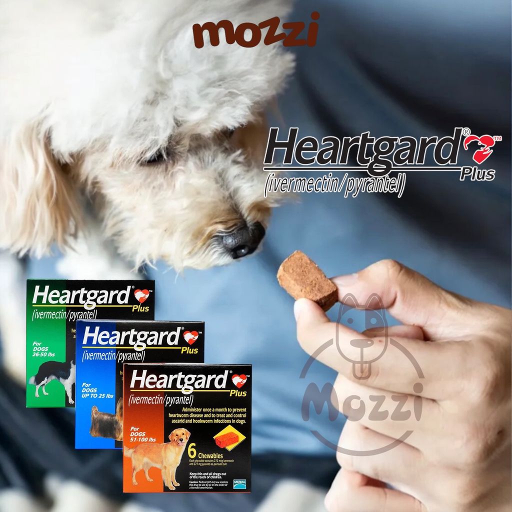 Viên nhai tẩy giun Heartgard cho chó