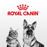  Thức ăn hạt Pate Royal Canin Diabetic cho chó bị tiểu đường [1.5kg] 