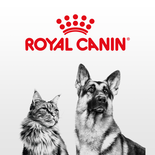 Thức ăn hạt Royal Canin Mobility Hỗ trợ xương khớp & Vận động cho chó [2kg]